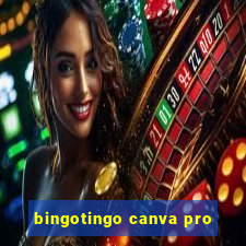 bingotingo canva pro